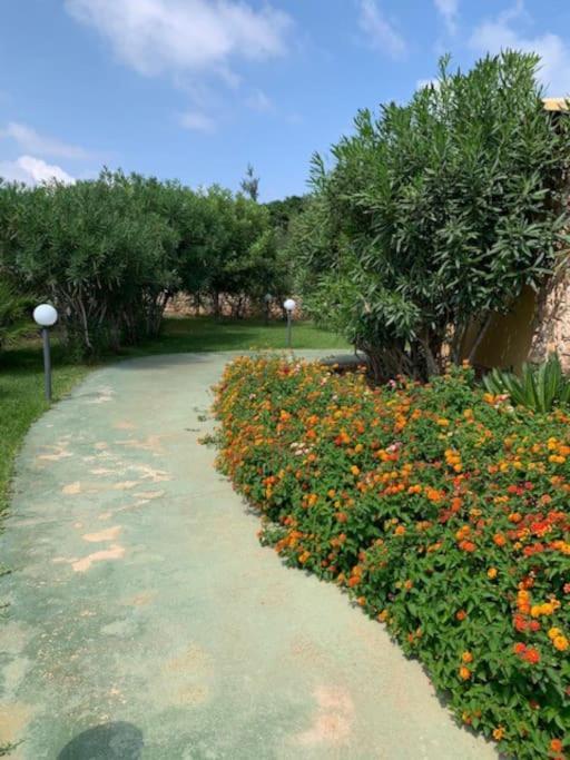 Villa Maveda, Un Dammuso Immerso Nel Verde Lampedusa Buitenkant foto
