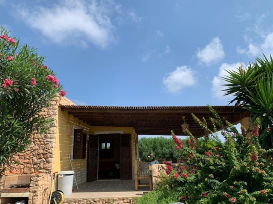 Villa Maveda, Un Dammuso Immerso Nel Verde Lampedusa Buitenkant foto