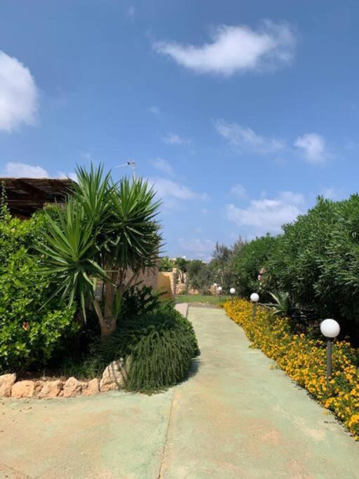 Villa Maveda, Un Dammuso Immerso Nel Verde Lampedusa Buitenkant foto